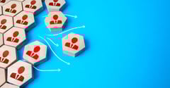 Organizational Downsizing Considerations