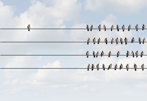 image of a pigeon sitting alone on a wire next to a group of pigeons sitting on the right.