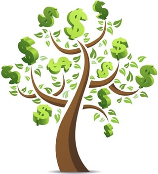 money-tree-500px2.jpg