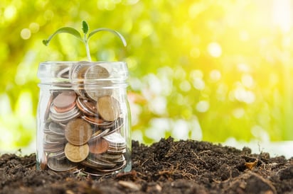 A photo of coins in a jar with a small plant sprouting out the top representing retirement savings.