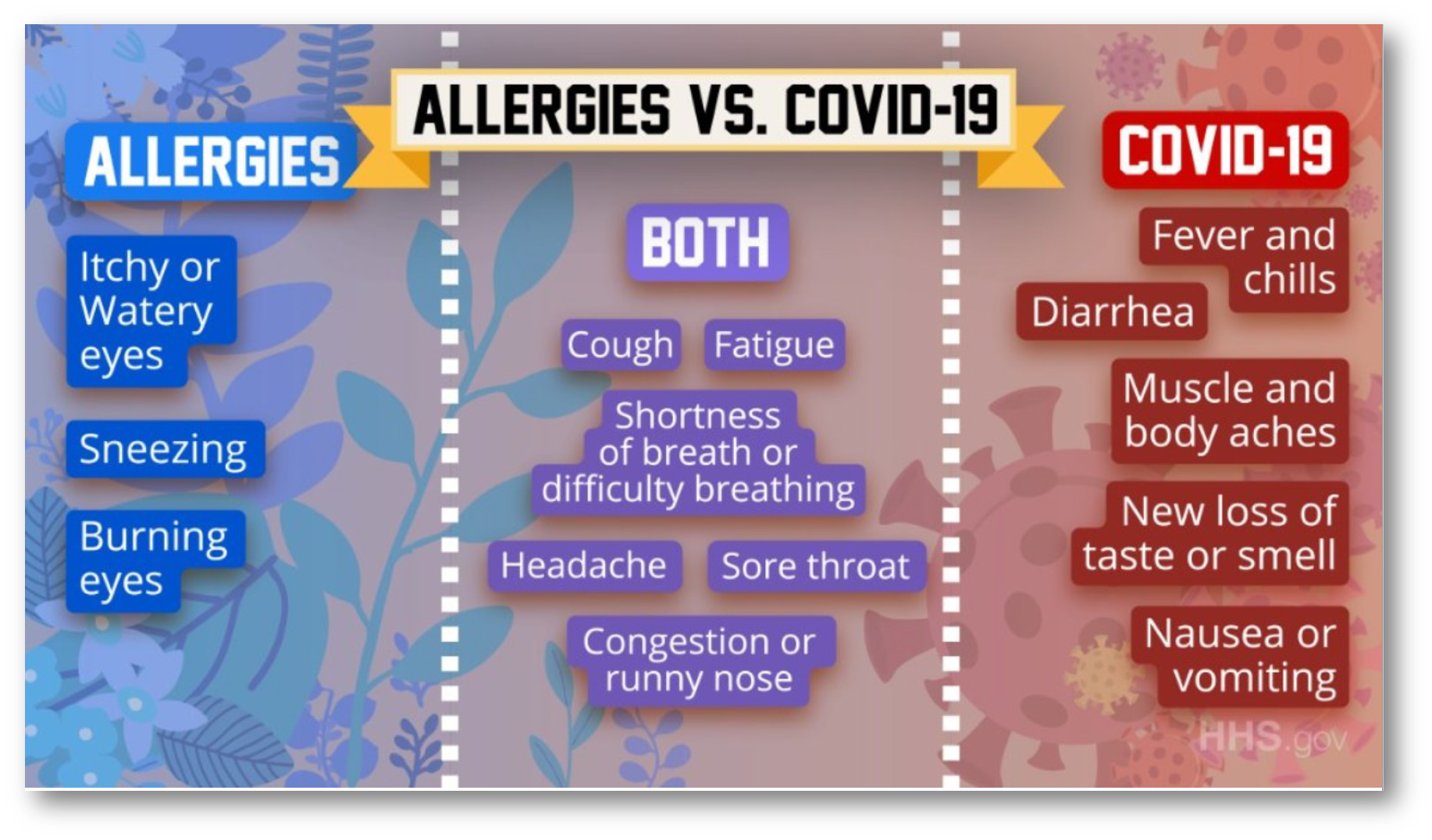 COVID vs Allergies Infographic