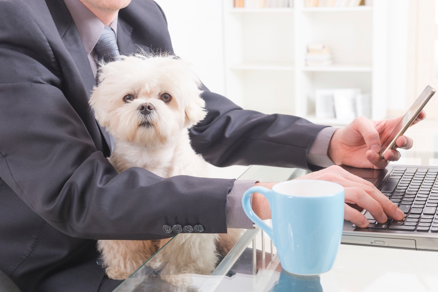 More Companies Are Welcoming Pets at Work (& Insuring Them Too) - Featured Image